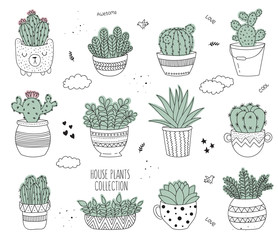 Vector line drawing set of house plants in pots. hand drawn doodle cactus collection.