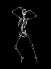 X RAY SKELETON 3D RENDER