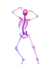 X RAY SKELETON 3D RENDER