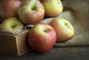 Photograph of Fuji Apples in a wooden box with burlap