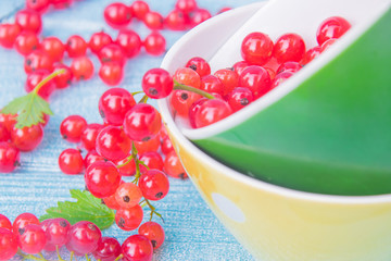 Summer colors. Red currant in a yellow and green cups on a light blue bckground