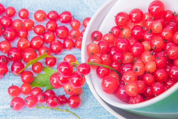 Summer colors. Red currant in a yellow and green cups on a light blue bckground