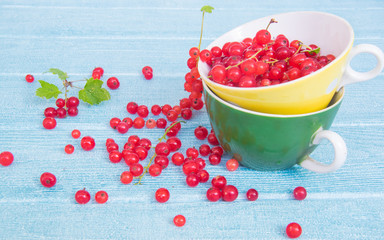 Summer colors. Red currant in a yellow and green cups on a light blue bckground