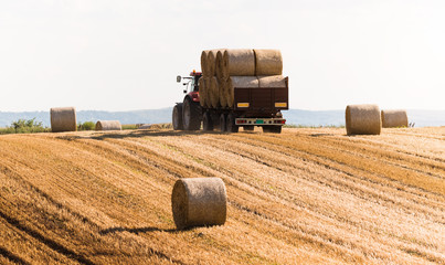Obraz premium A tractor collecting straw bales