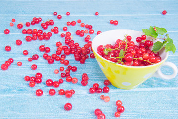 Nature ornament. Red currant on the light blue wooden background Bright summer colors. Red currant in a bright yellow cup on a blue wood background