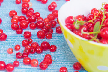 Nature ornament. Red currant on the light blue wooden background Bright summer colors. Red currant in a bright yellow cup on a blue wood background