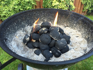 Holzkohle mit Flammen in Feuerschale