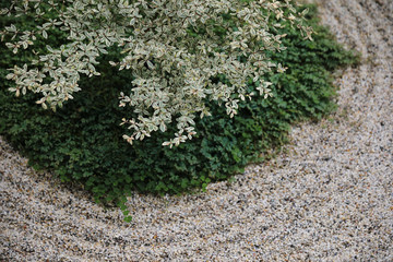 japanese zen stones garden with space background