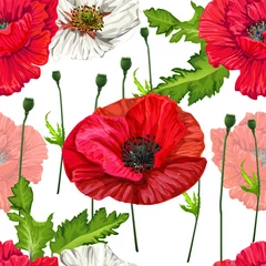 Papier Peint photo Lavable Coquelicots Fleurs de pavot sans soudure sur fond blanc, illustration vectorielle