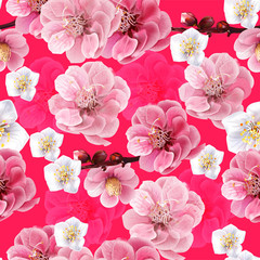 Chinese plum flowers seamless pattern on pink background,vector illustration