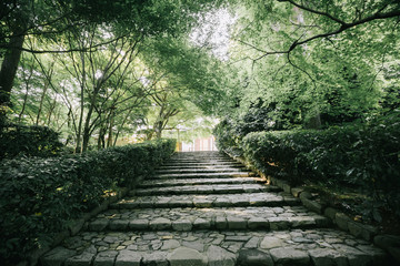 Japanese garden walkway with tree leaves film vintage style