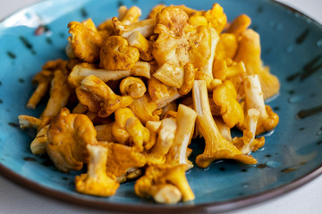 Fresh washed and cleaned chanterelle in a blue bowl over white table