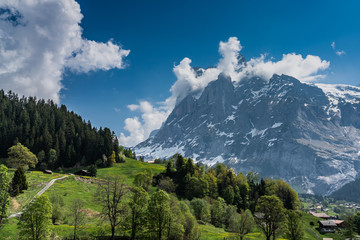 Switzerland, view from First to Wetterhorn