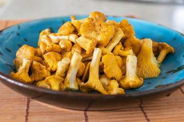 Fresh washed and cleaned chanterelle in a blue bowl closeup