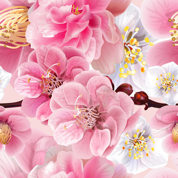 Chinese plum flowers pink color seamless background pattern,vector illustration