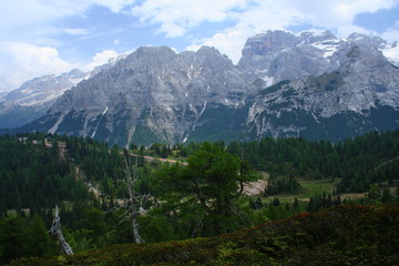 Fototapeta na wymiar Landscape at hiking trail to Doss del Sabion near Pinzolo in South Tyrol in Italy 