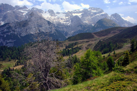 Landscape at hiking trail to Doss del Sabion near Pinzolo in South Tyrol in Italy
