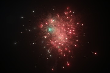 Firework of coming dog 4