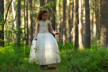 Obraz na płótnie Canvas Little girl walks in a summer forest in a dress