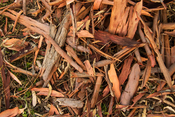 Eukalyptusrinde zum mulchen und als Textur