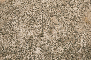 stone floor background