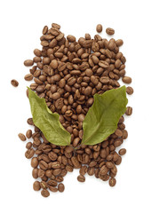 Coffee beans with coffee leaves