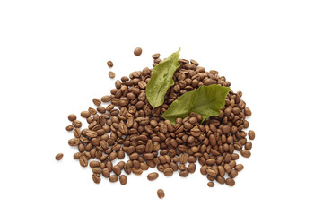 Fototapeta na wymiar Coffee beans with coffee leaves