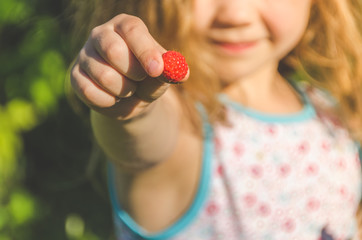 the child collects in a can and eat, raspberries