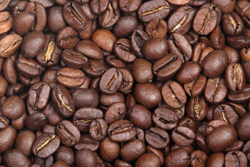 Coffee beans texture