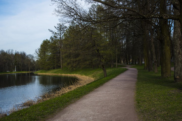 Fototapeta na wymiar park in winter with forest and river.
