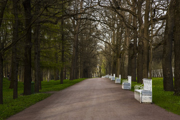 park in winter with forest and white chair.