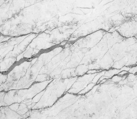 Fototapeta premium white marble texture for background.