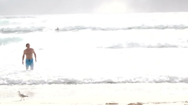 man walking out of ocean in gold coast queensland australia