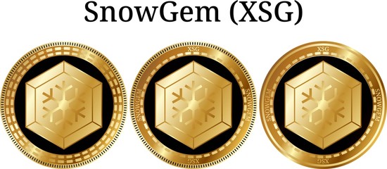 Set of physical golden coin SnowGem (XSG), digital cryptocurrency. SnowGem (XSG) icon set. Vector illustration isolated on white background.