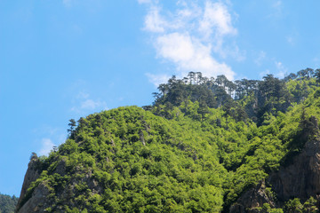 A canyon in Pluzine terrain, Montenegro