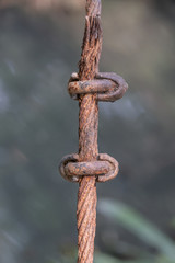 Rusty steel ropes with old U-Bolt clamp.