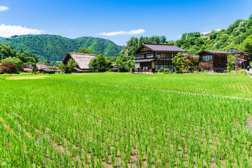 Fototapeta na wymiar 日本の原風景　白川郷