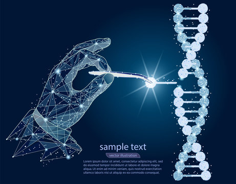 abstract design. Manipulation of DNA double helix with with bare hands, tweezers. isolated from low poly wireframe on white background. Vector abstract polygonal image mash line and point.