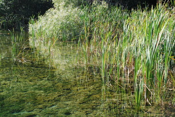 Kroatien plitvicer seen nationalpark