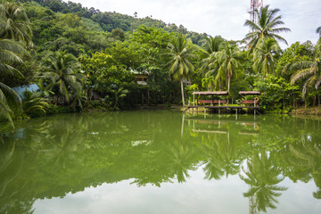 Fototapeta na wymiar Lake Reflection in the Phuket, Thailand. Surface of lakes like a mirror reflect the image above, double image of landscape. 