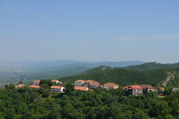 Здания в лесу