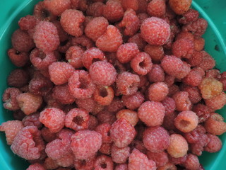 raspberry berry in the basket