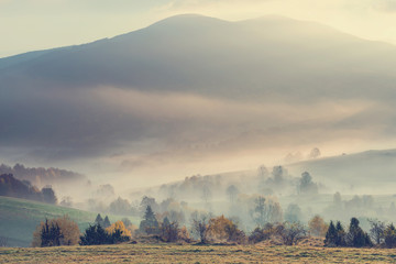 Foggy morning in mountains valley with fall colors - obrazy, fototapety, plakaty