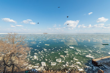 Spring ice drift at sea