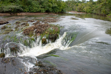 Rio Jaci-paraná em Rondônia