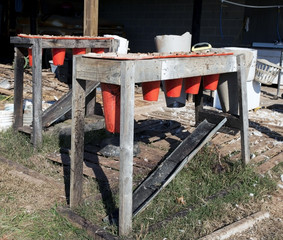 The last thing the chicken sees. Farm made chicken killing and blood draining station. Gulp...