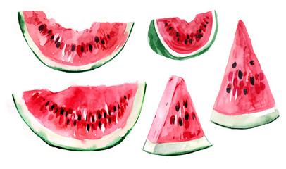 Slices of watermelon. Watercolor illustration