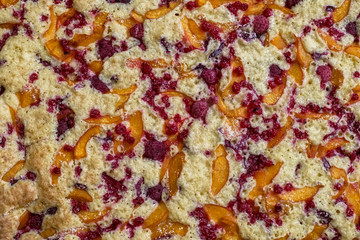 Obraz na płótnie Canvas Fresh baking cake with fresh cranberries, raspberry, apples and apricots on top