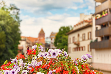 Fototapeta na wymiar .Flowers in the historic center of Strasbourg. Petite France. Focus concept.
