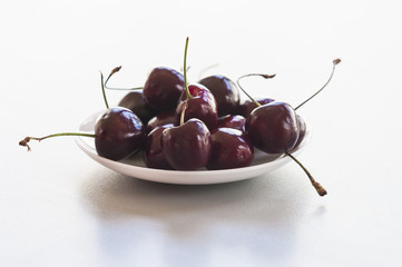Fresh ripe bird cherries close up shot
